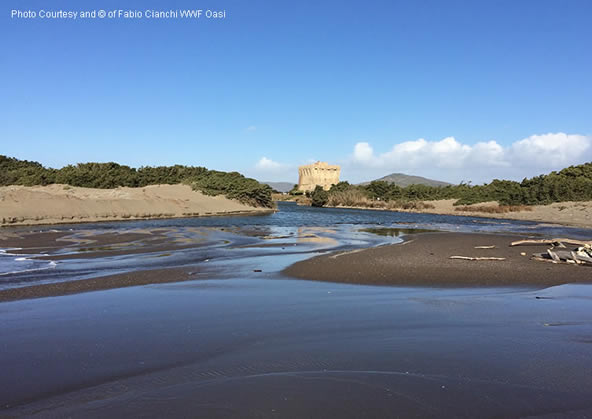 Torre di Buranaccio