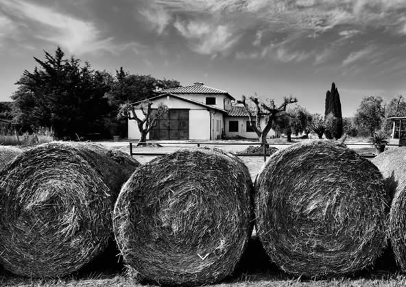Agriturismo Maremma - Orti di Capalbio