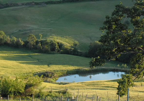 Agriturismo Maremma - Poggio Petrella