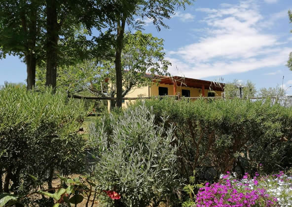 Agriturismo Maremma - Poggio Sassineri