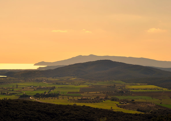 Capalbio Campeggio Rurale – Agricampeggio