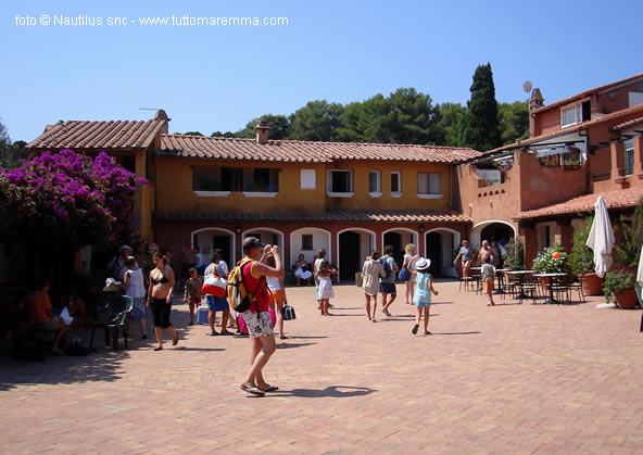 Giannutri