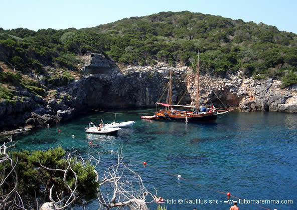 Spiaggia Giannutri