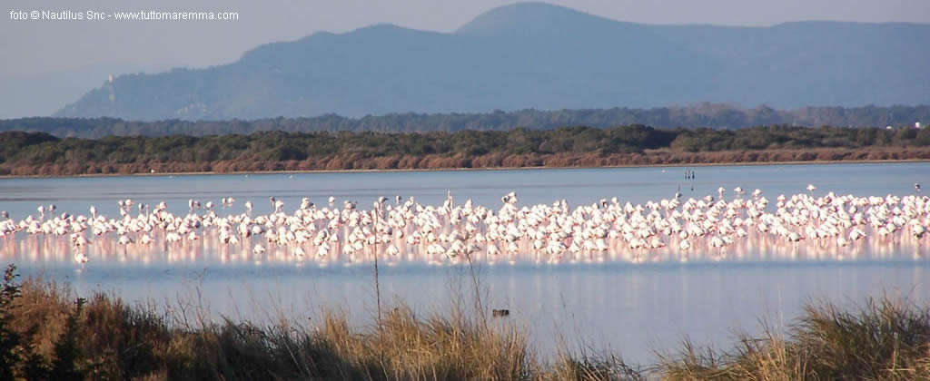 Laguna di Orbetello