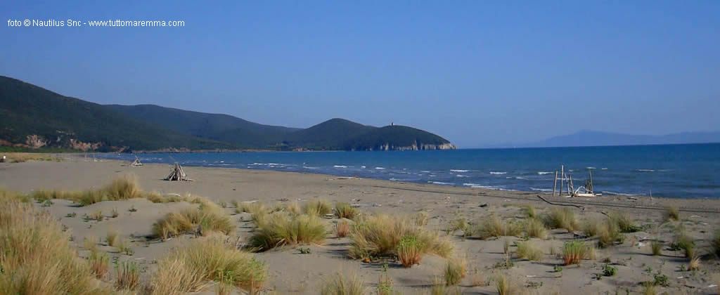 Parco della Maremma