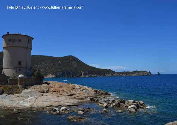 Isola del Giglio - Giglio Campese