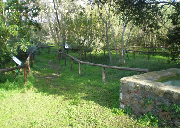 Giardino delle farfalle