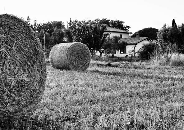 agriturismo orti di capalbio