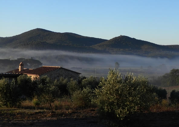 case vacanza maremma - poggiobono