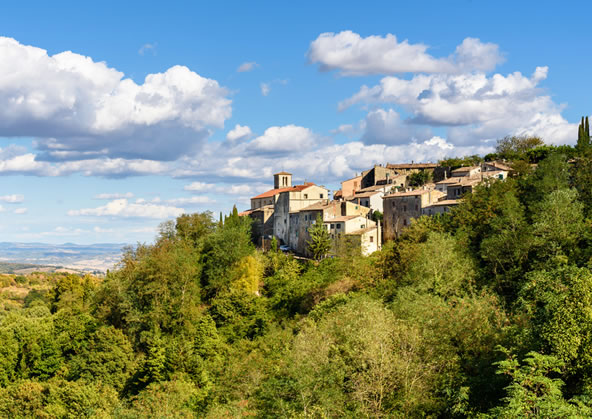 Scansano italy